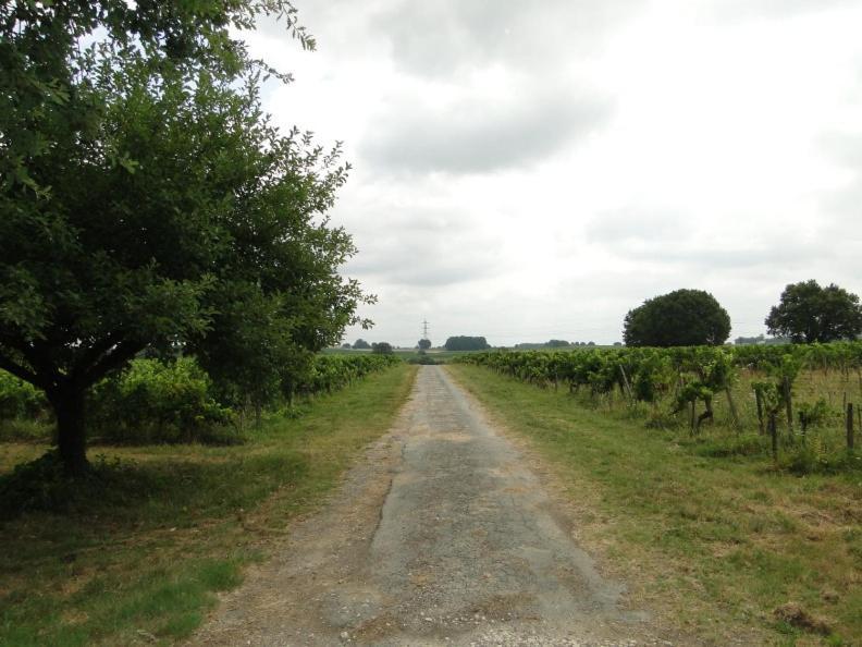 Chateau Monichot Organic Vineyard Tauriac  Extérieur photo