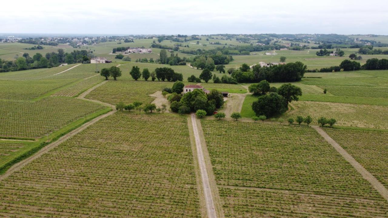 Chateau Monichot Organic Vineyard Tauriac  Extérieur photo